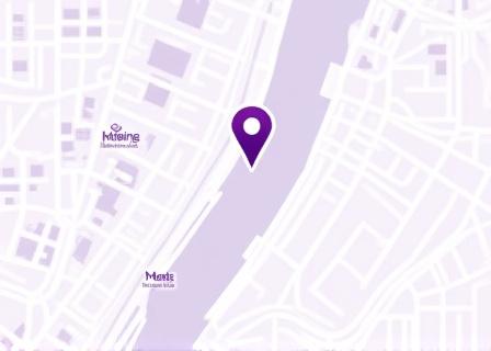 Map of service radius in New York